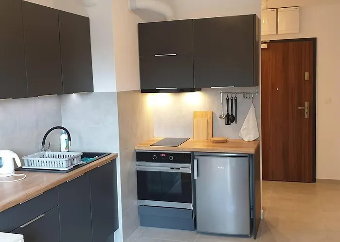 Wygodny Niedaleko Centrum By Апартаменты Краков