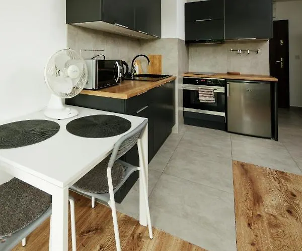 Wygodny Niedaleko Centrum By קרקוב